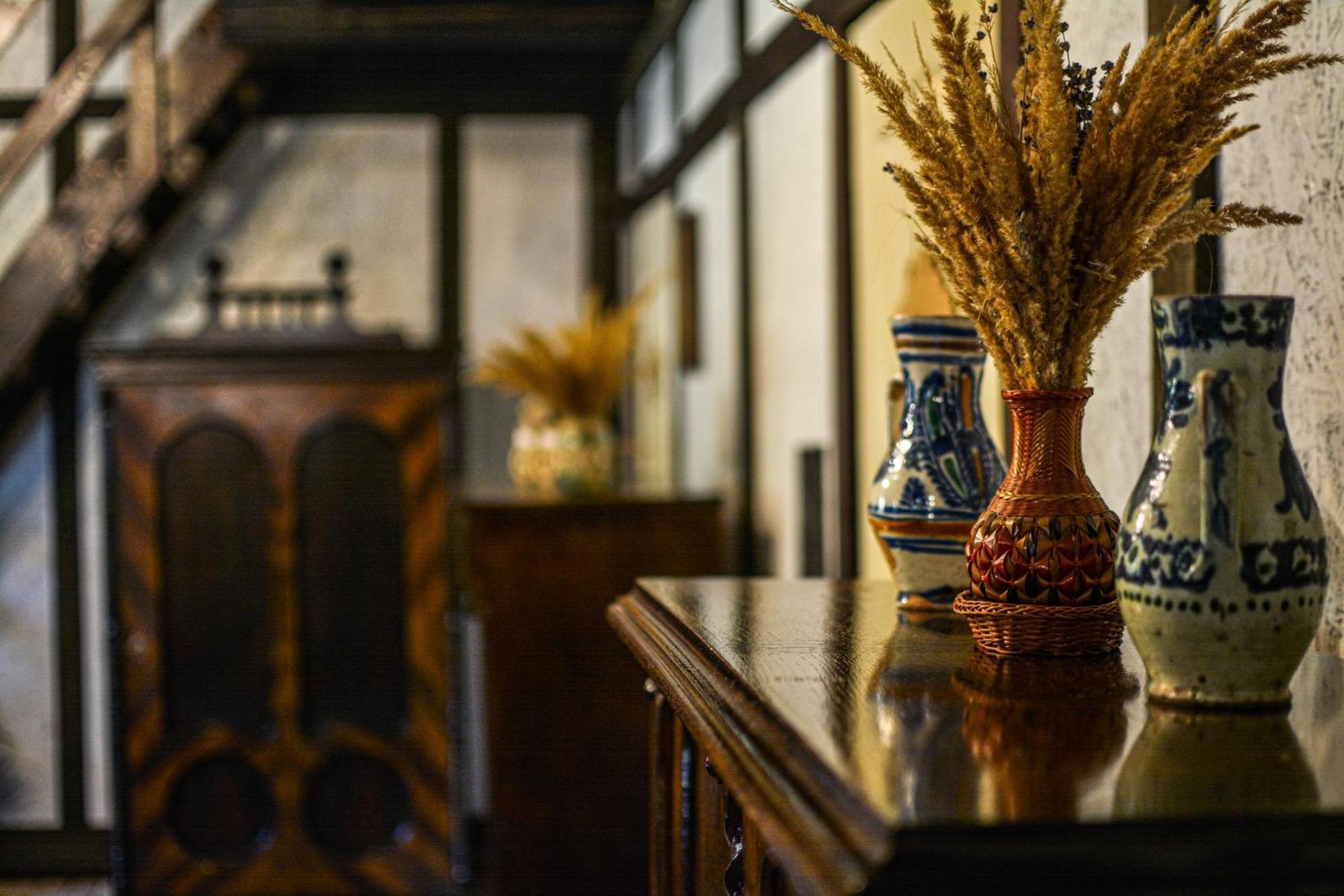 Camere De Inchiriat Pasi Liberi Tău Bistra Buitenkant foto